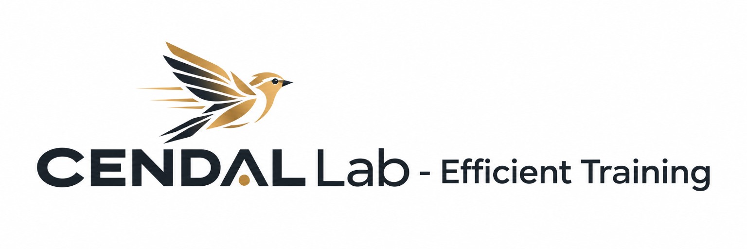CENDAL Lab - Efficient Training